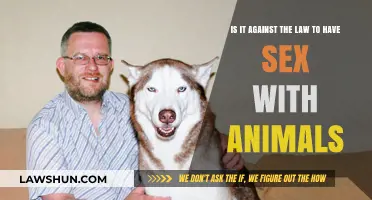 Is Bestiality Legal? Exploring the Laws on Human-Animal Relations