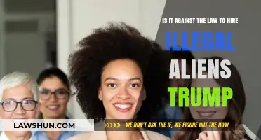 Hiring Illegal Aliens Under Trump: Legal or Lawbreaking?