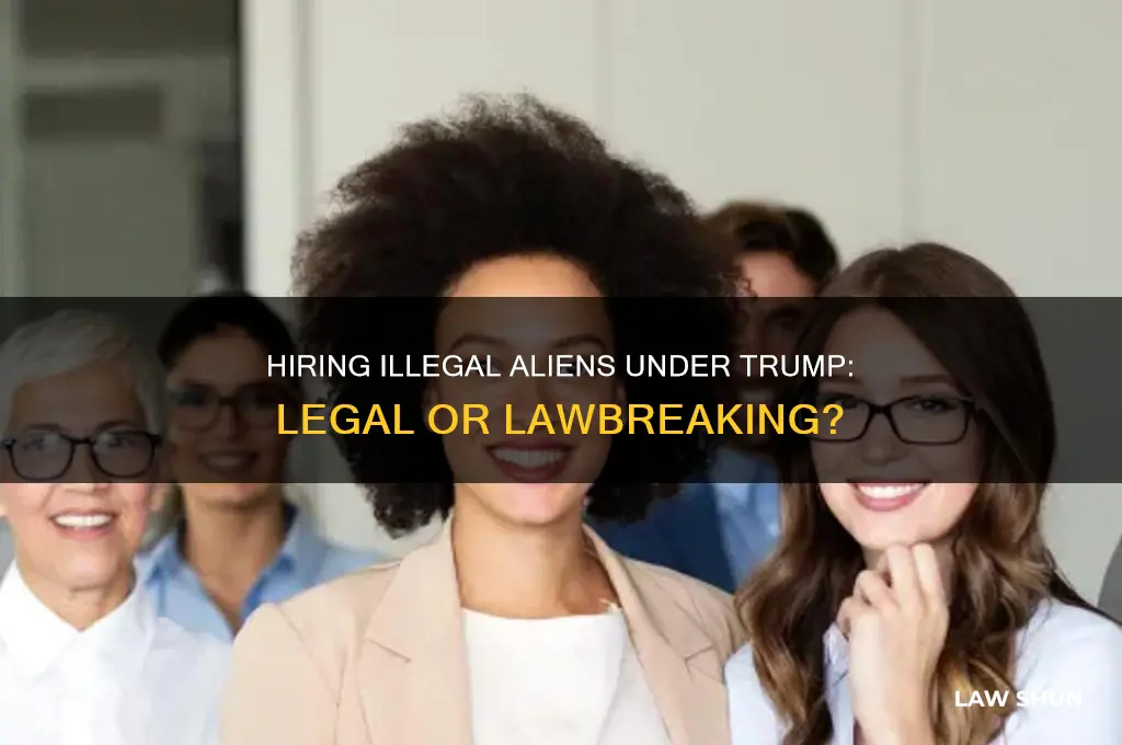 is it against the law to hire illegal aliens trump