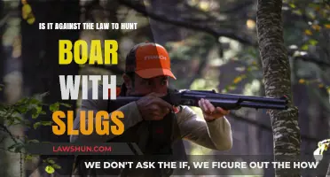 Is Hunting Boar with Slugs Legal? Understanding the Law