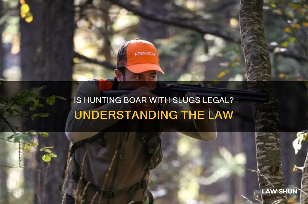 is it against the law to hunt boar with slugs