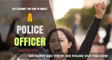 Is Insulting a Police Officer Illegal? Understanding Free Speech Limits