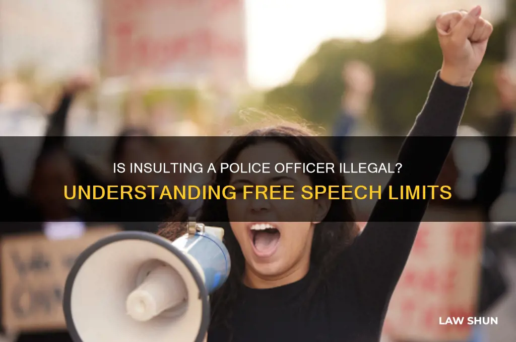 is it against the law to insult a police officer