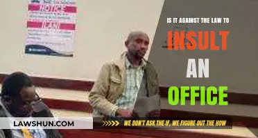 Is Insulting an Officer Illegal? Understanding Legal Boundaries and Consequences