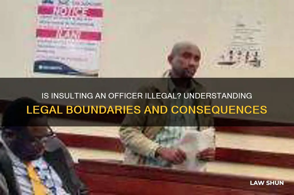 is it against the law to insult an office