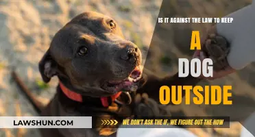 Is Keeping Your Dog Outside Legal? Understanding Pet Laws and Welfare