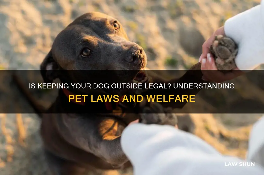 is it against the law to keep a dog outside