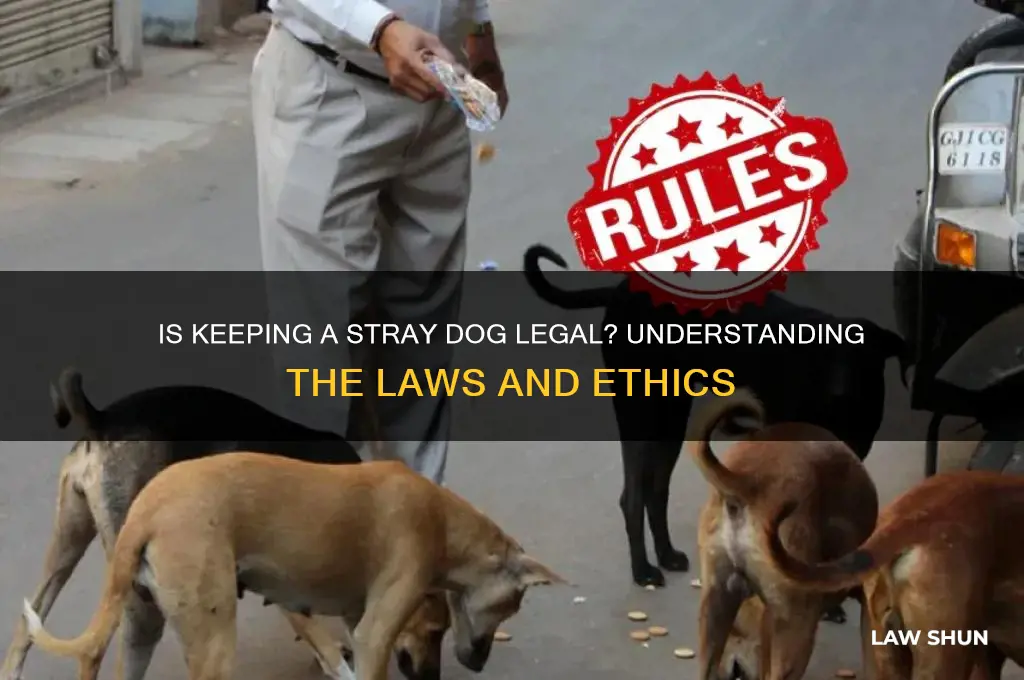 is it against the law to keep a stray dog