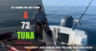 Is Keeping a 72-Inch Tuna Legal? Understanding Fishing Regulations