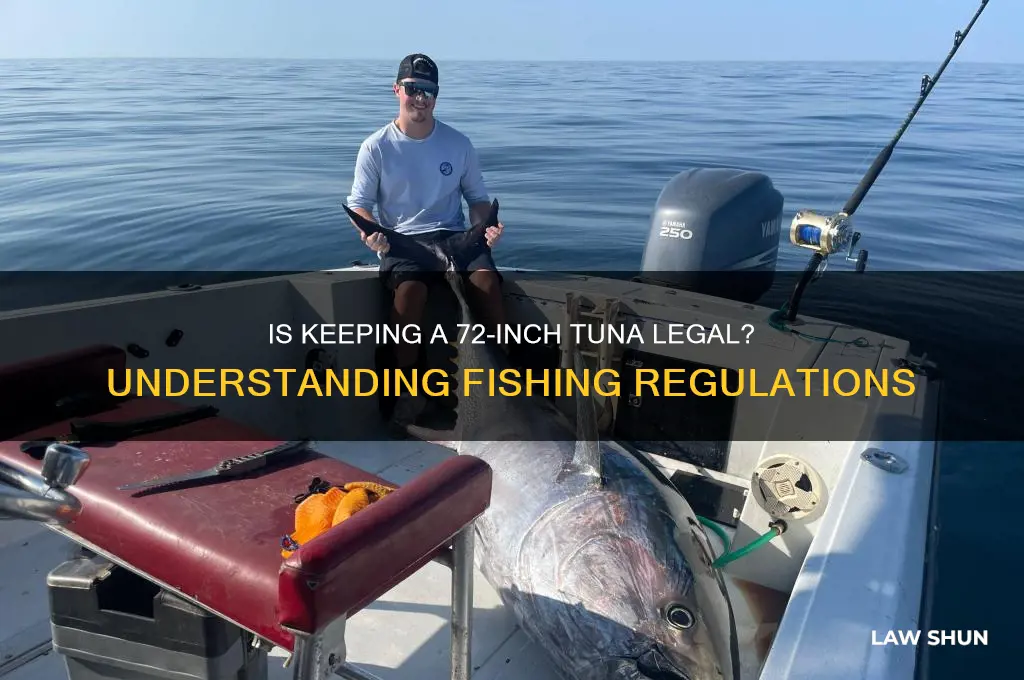 is it against the law to kerp a 72 tuna
