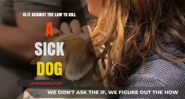 Is Euthanizing a Sick Dog Legal? Understanding Pet Owners' Rights