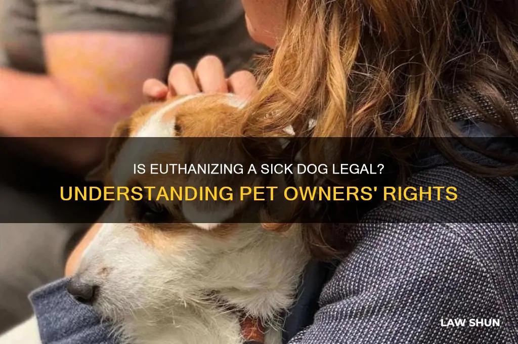 is it against the law to kill a sick dog