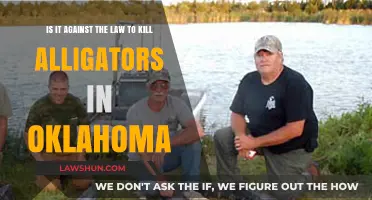 Is Killing Alligators Legal in Oklahoma? Understanding the Law