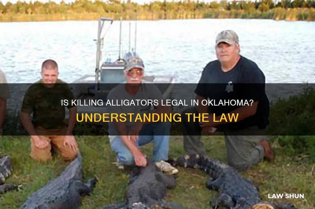 is it against the law to kill alligators in oklahoma