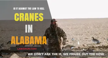Killing Cranes in Alabama: Legal or Illegal? Understanding the Law