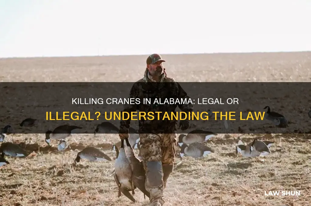 is it against the law to kill cranes in alabama