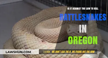 Is Killing Rattlesnakes Legal in Oregon? Understanding the Law