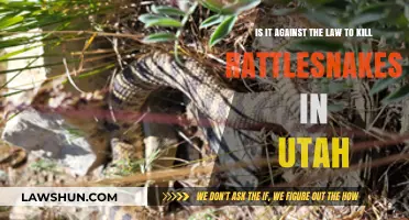 Is Killing Rattlesnakes in Utah Legal? Understanding the Law