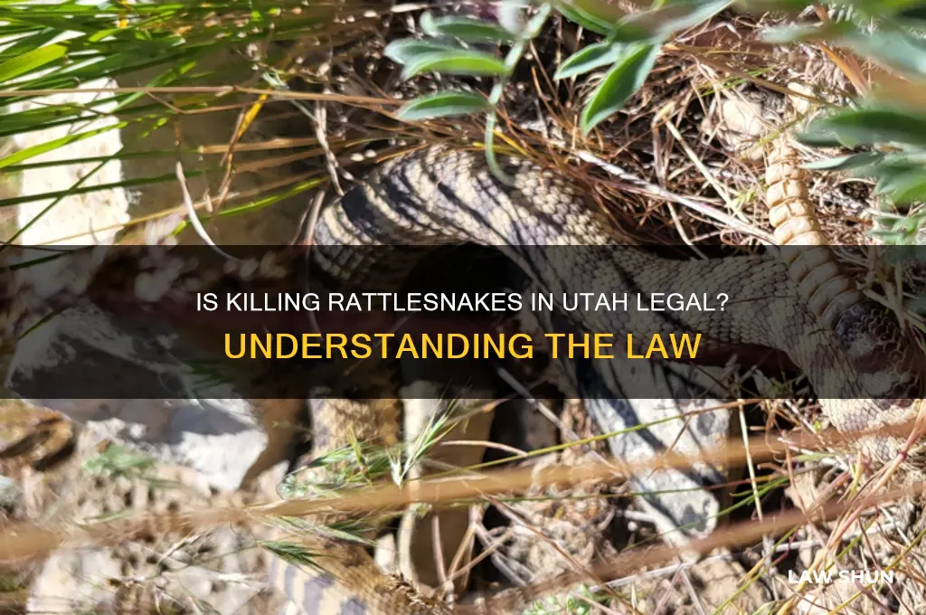 is it against the law to kill rattlesnakes in utah
