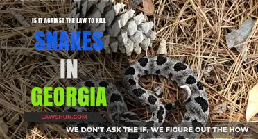 Is Killing Snakes in Georgia Legal? Understanding the Law