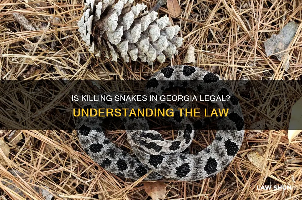 is it against the law to kill snakes in georgia