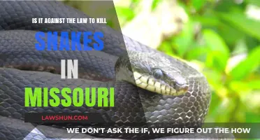 Is Killing Snakes in Missouri Legal? Understanding the Law