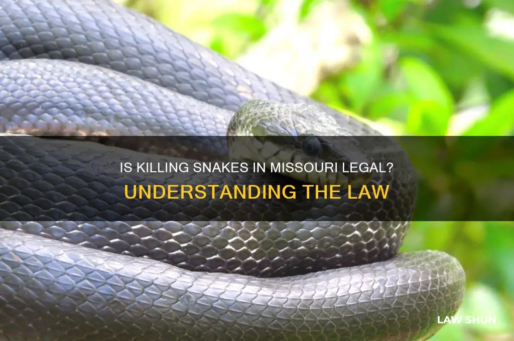 is it against the law to kill snakes in missouri
