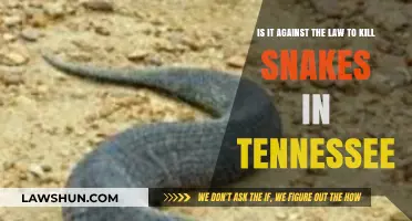 Is Killing Snakes in Tennessee Legal? Understanding the Law