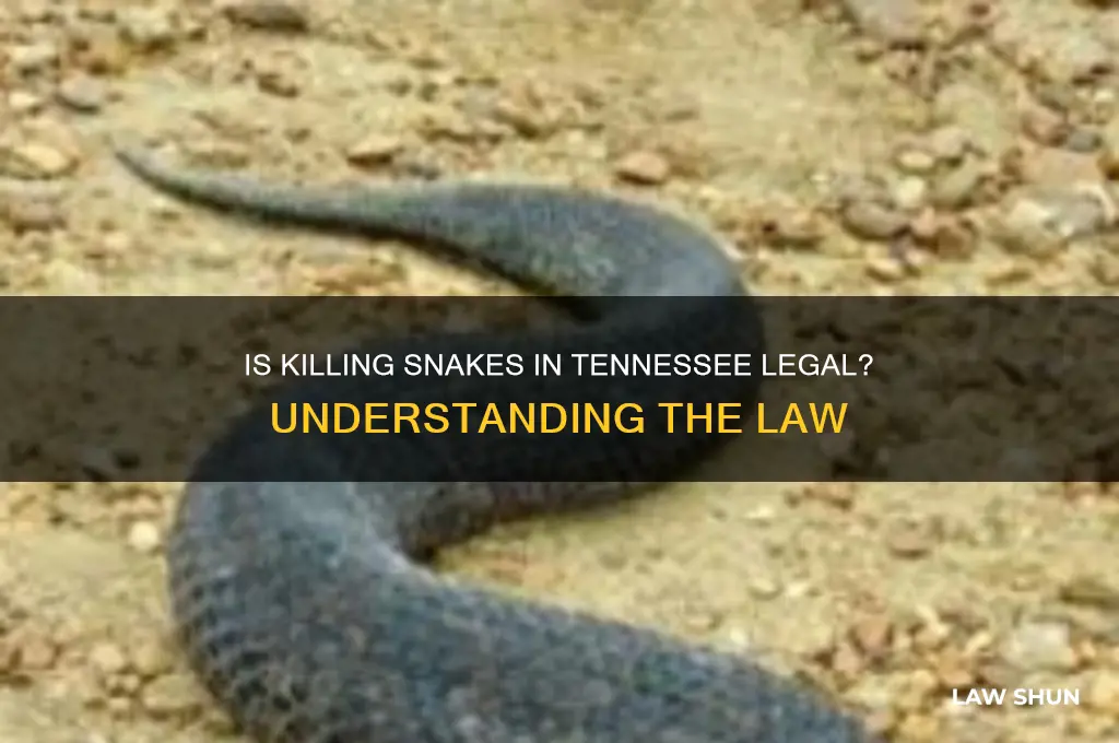 is it against the law to kill snakes in tennessee