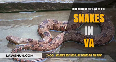 Is Killing Snakes in Virginia Legal? Understanding Wildlife Protection Laws