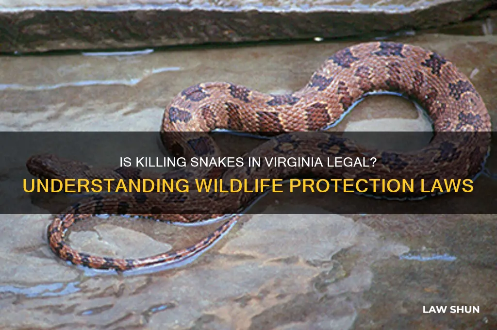 is it against the law to kill snakes in va