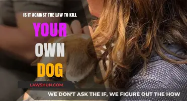 Is Euthanizing Your Dog Legal? Understanding Pet Ownership Laws
