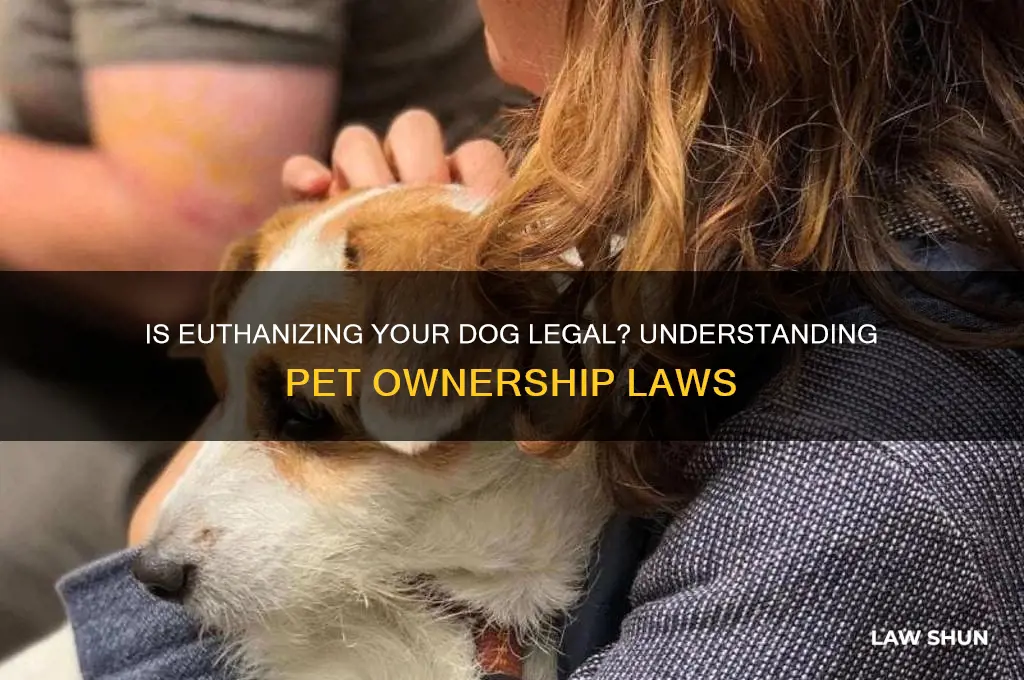is it against the law to kill your own dog