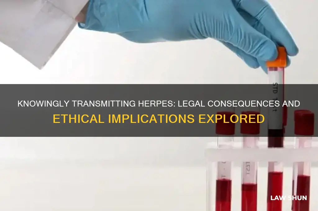 is it against the law to knowingly give someone herpes