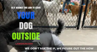 Is Leaving Your Dog Outside Illegal? Legal Insights for Pet Owners