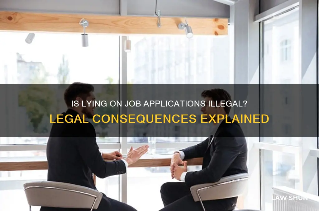 is it against the law to lie on an application