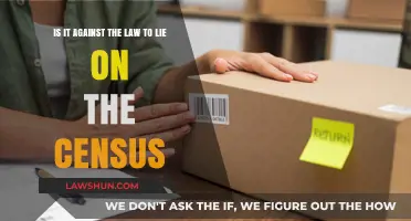 Is Lying on the Census Illegal? Understanding the Legal Consequences