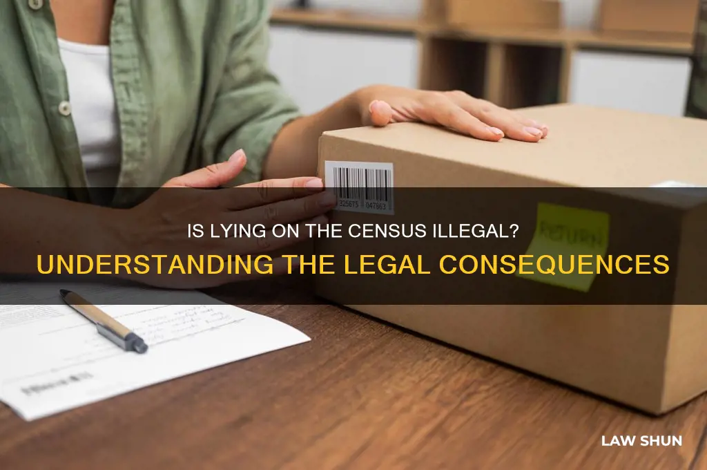 is it against the law to lie on the census
