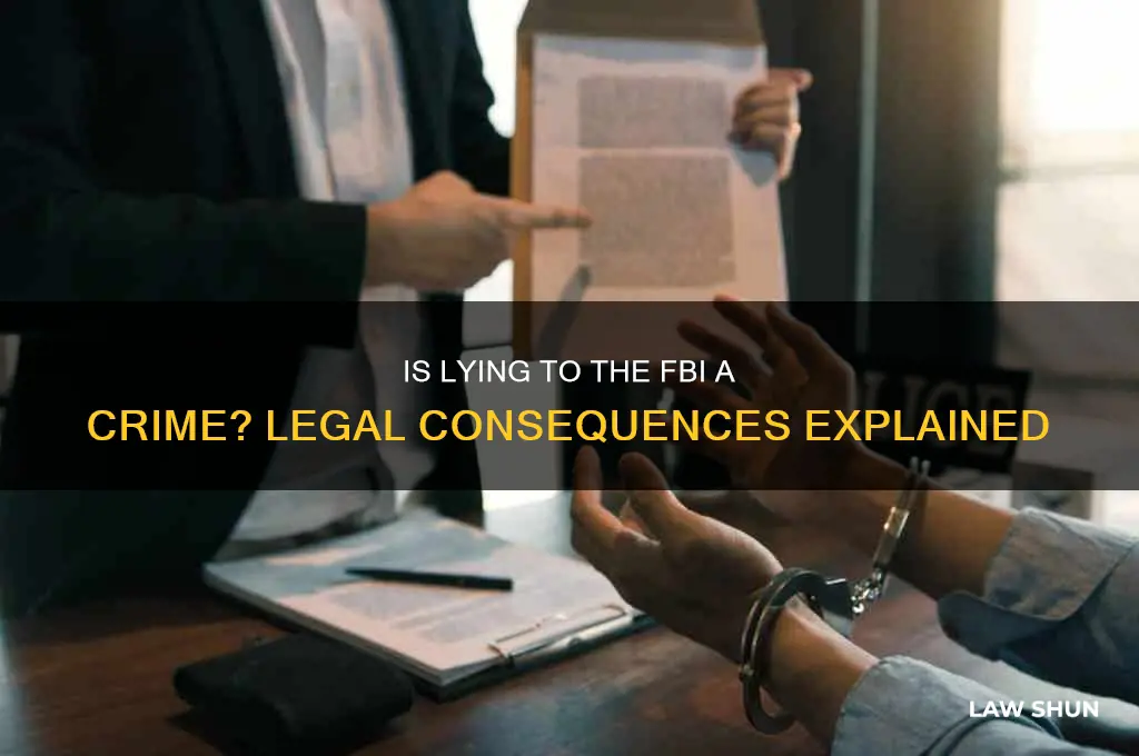is it against the law to lie to the fbi