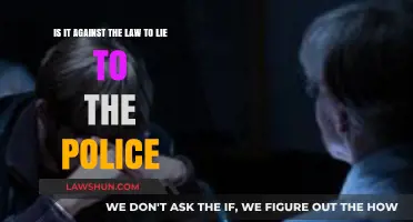 Is Lying to Police Illegal? Understanding the Legal Consequences