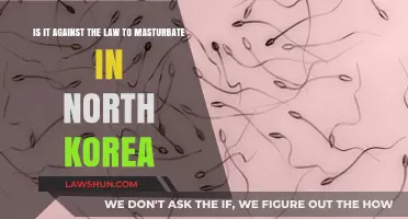 Masturbation Laws in North Korea: Legal or Forbidden?