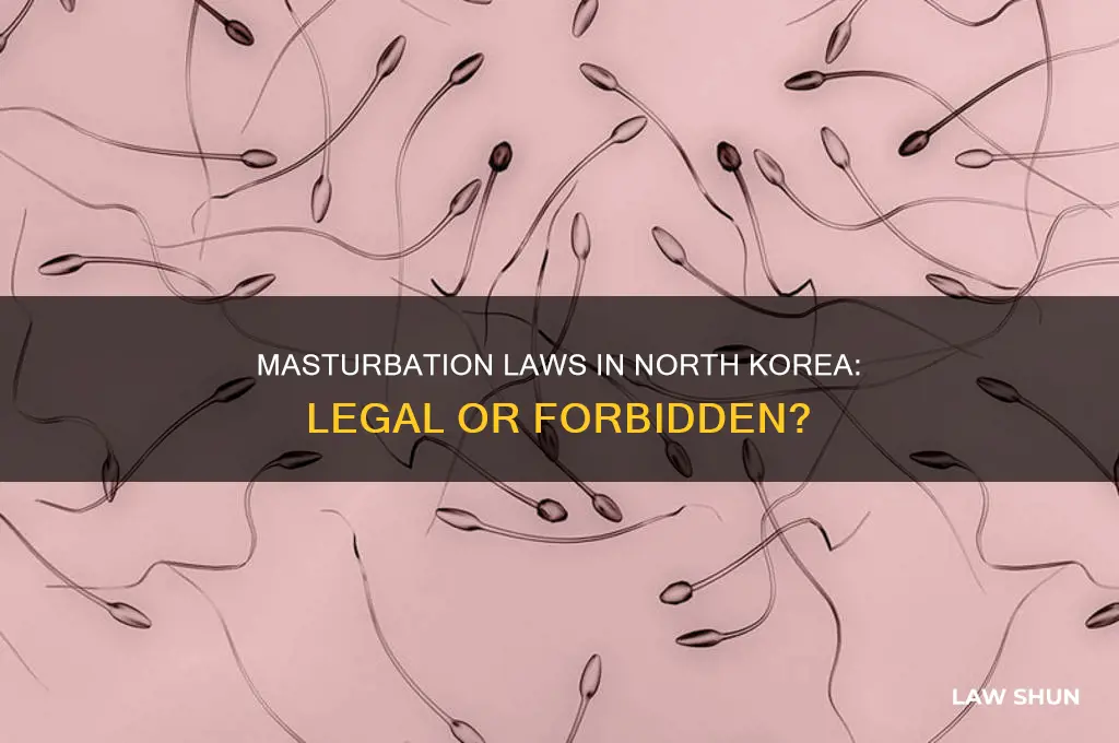 is it against the law to masturbate in north korea