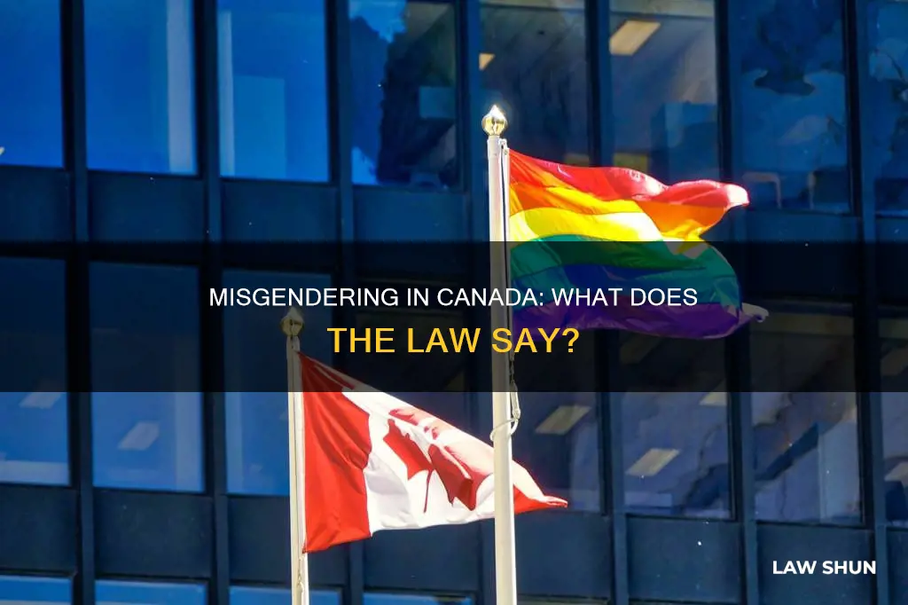 is it against the law to misgender someone in canada