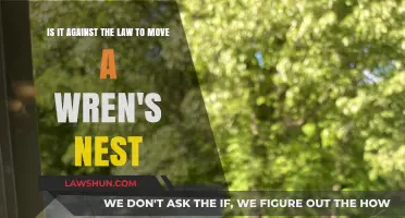 Is Relocating a Wren's Nest Legal? Understanding Wildlife Protection Laws