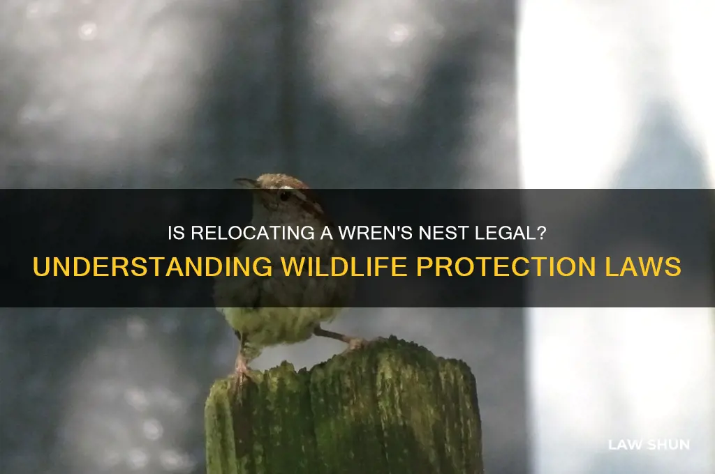 is it against the law to move a wren