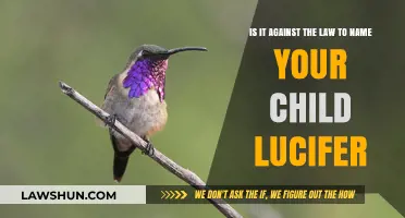 Is Naming Your Child Lucifer Legal? Exploring the Law and Limits