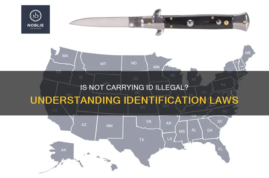 is it against the law to not carry idenitfcatio