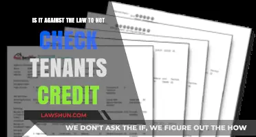 Is Skipping Tenant Credit Checks Legal? Understanding Landlord Obligations