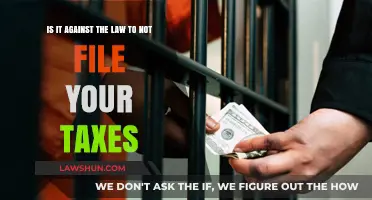 Tax Compliance: Mandatory Filing or Face Legal Consequences