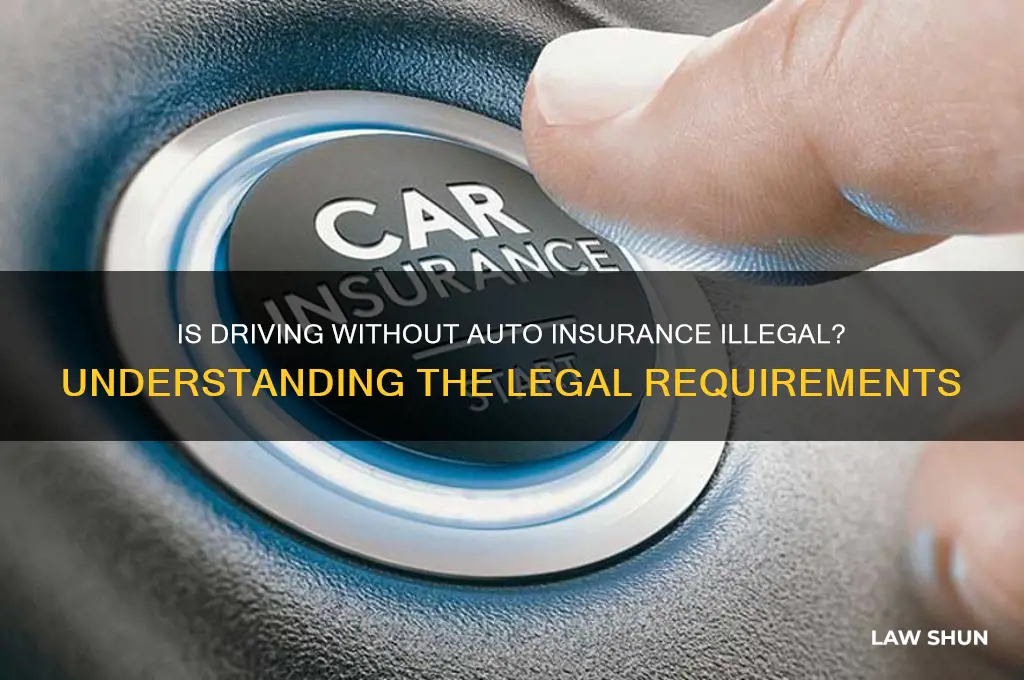 is it against the law to not have auto insurance